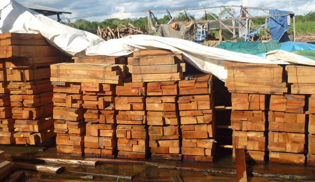 ADEX. Las empresas que más exportaron madera en el 2021 fueron IMK Maderas, Grupo Maderero Amaz, Maderera Bozovich, E & J Matthei Maderas del Perú, e Industria Forestal Huayruro. Foto: difusión