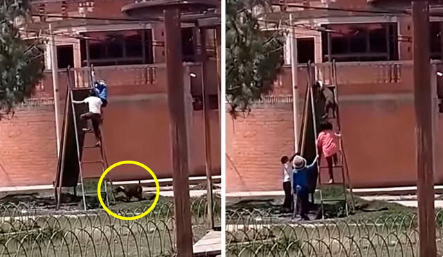 Al parecer, una madre dejó en evidencia la complicidad de sus hijos con su querida mascota luego que los vio divertirse en el parque. Foto: captura de Facebook