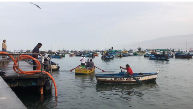 Pescadores piden apoyo para poder sustentar a sus familias. Foto: Gianella Aguirre / URPI - LR