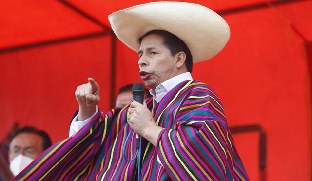 Pedro Castillo asumió la presidencia de la República del Perú en julio del año pasado. Foto: Presidencia