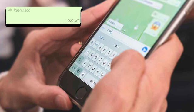 Existe una forma de eliminar el título de reenviado en los chats de WhatsApp. Foto: composición/andro4alll