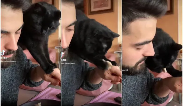 Gatito impresiona con su habilidad al ‘robar’ la comida de su dueño en tan solo segundos. Foto: captura de TikTok.