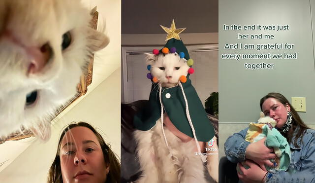 La dueña de Pot Roast publicaba los videos junto a su mascota en sus redes sociales. Foto: captura de Instagram