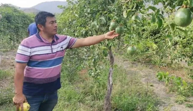 La planta de fertilizantes ayudará a mejorar la producción nacional agrícola. Foto: La Voz del Norte