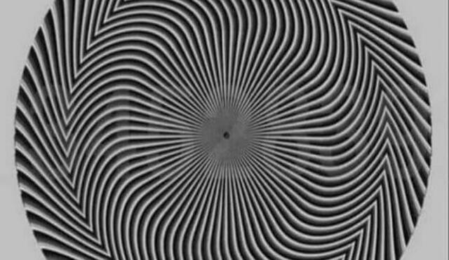 Ilusión óptica de números ocultos se vuelve viral y desconcierta a miles. Foto: captura de Twitter.