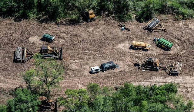 Fotografía aérea cedida por Greenpeace que muestra una explotación forestal en la provincia de Chaco (Argentina). Foto: EFE