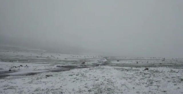 Carretera Arequipa-Puno resultó afectada por las intensas nevadas. Foto: COER Arequipa