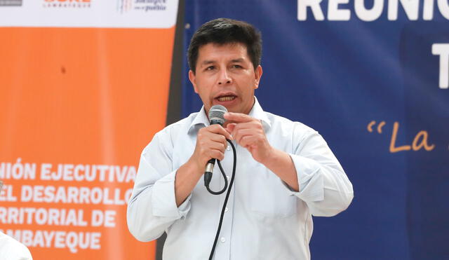 Pedro Castillo asumió la presidencia tras vencer a Keiko Fujimori en el balotaje. Foto: Presidencia / Video: La Pizarra