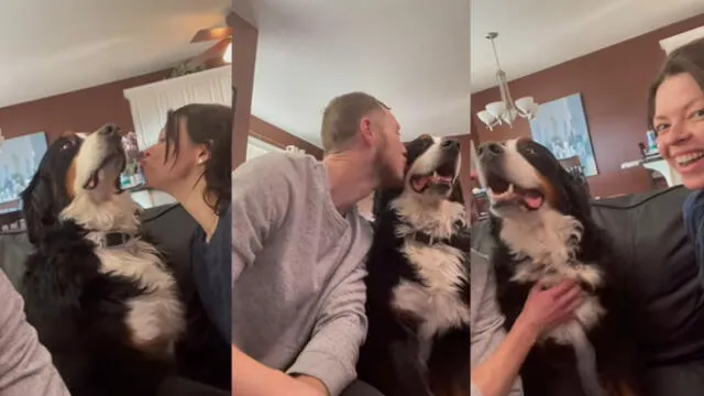 El cachorro se acercó al novio de su dueño para recibir sus besos. Foto: captura de YouTube