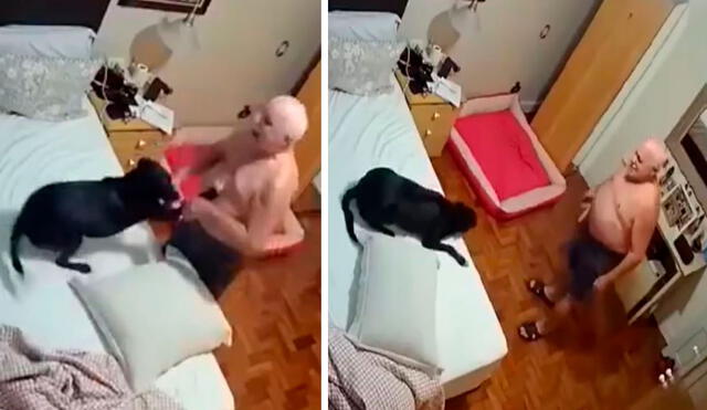 Pese a que tiene su propia cama, la perrita se despierta y espera que sus amos estén dormidos por completo para echarse al lado de ellos. Foto: captura de YouTube