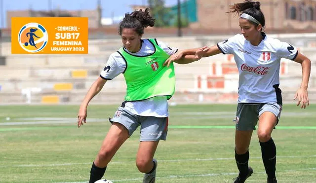 La selección peruana viajará a Montevideo el viernes 25 de febrero. Foto: selección peruana twitter