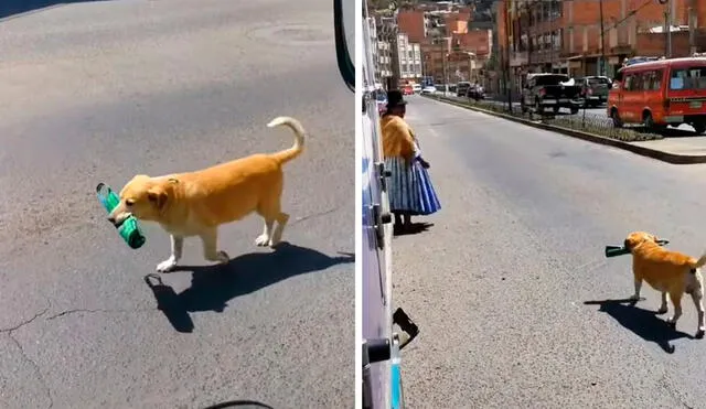 Un conductor captó el preciso momento en que un perro siguió a su dueña y se colocó detrás de ella, con la intención de protegerla en la calle. Foto: captura de Facebook