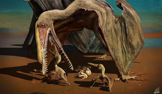 El pterosaurio, conocido popularmente como pterodáctilo, dominaba los cielos hace unos 167 millones de años. Foto: Zhao Chuang