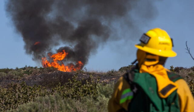 El calentamiento global, las sequías y el cambio de uso de suelo son causantes de los incendios forestales. Foto: AFP