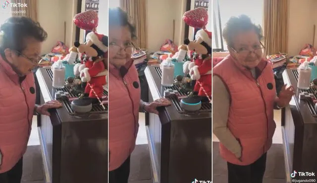 La enternecedora reacción de la abuelita logró hacerse viral en las redes sociales. Foto: captura de TikTok