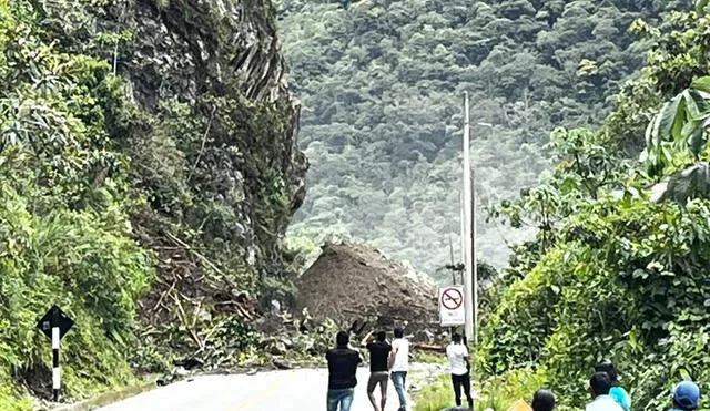 Empresa concesionaria realiza limpieza de vía. Foto: IIRSA SUR