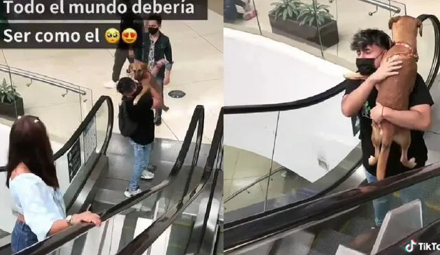 Los usuarios se conmovieron con la amistad y el amor que demostraba hacia su perrito. Foto: captura de TikTok