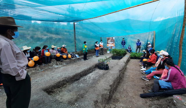 Los agricultores han sido capacitados para manejar el vivero. Foto: GRALL