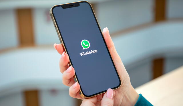 Aún no se sabe cuándo llegarán estas funciones a la versión regular de WhatsApp en iPhone, Android y PC. Foto: TechRadar