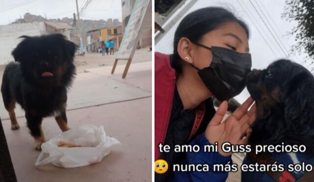 El pequeño Guss encontró un hogar y una familia que lo adoptó y le otorgó cariño. Foto: captura de TikTok