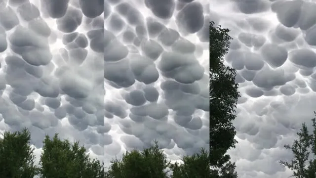 Esto ocurrió en Casa Grande, Córdoba, Argentina. Foto: captura de YouTube