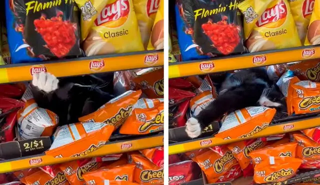 Una clienta fue a buscar unos snacks en uno de los pasillos; sin embargo, no imaginó que se llevaría una tremenda sorpresa. Foto: captura de Facebook