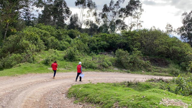 Empresas no acreditaron la totalidad de los requisitos establecidos en las bases de licitaciones. Foto: Contraloría