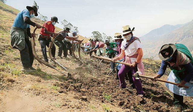 Producto al alza. En el último año, el precio de los principales fertilizantes se elevó hasta en 128%. Foto: difusión