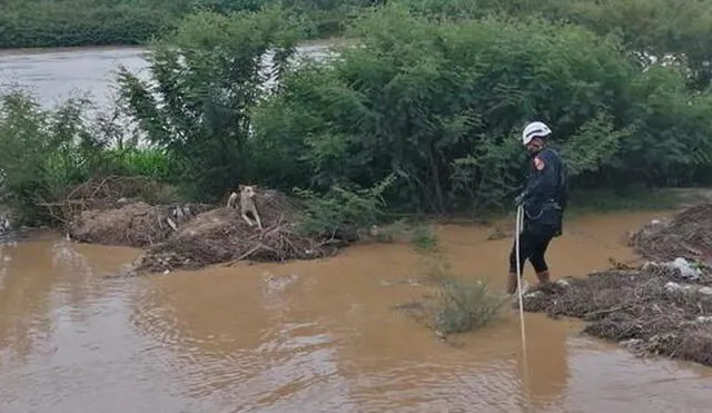 Ante esta situación, los agentes pusieron en práctica técnicas de rescate. Foto: D'Tumbes Noticias