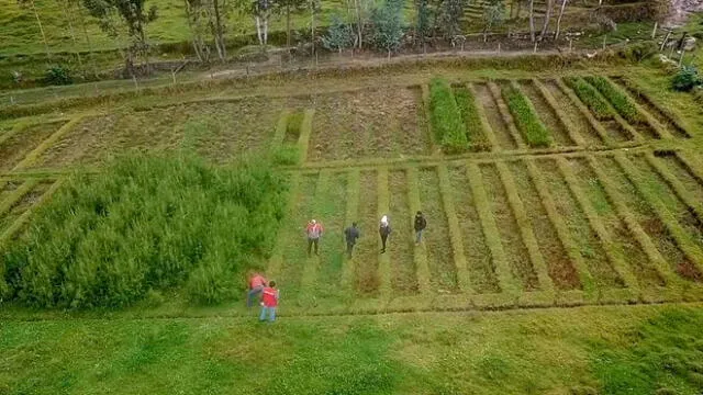 En viveros para proyecto de reforestación en Sihuas solo se ha producido la tercera parte de lo programado. Foto: Contraloría.