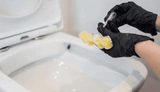 Conoce cómo dejar blanco el inodoro con trucos caseros. Foto: Pixabay