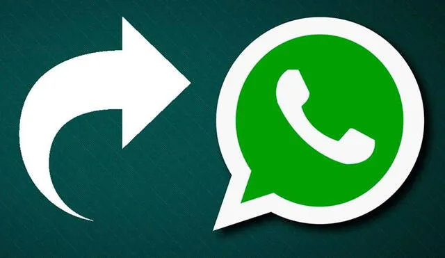 Esta nueva herramienta de WhatsApp ha sido desvelado en la beta Android 2.22.7.2. Foto: composición El País