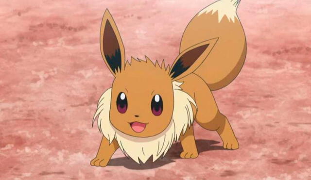 Eevee y sus muchas evoluciones  Eevee evolutions, Pokemon eevee  evolutions, Pokemon eevee