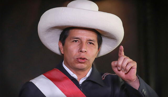 Últimas noticias del gobierno del presidente Pedro Castillo hoy, viernes 11 de marzo. Foto: composición LR/AFP