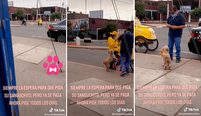 El perrito se emocionó y saltó de felicidad al notar que se acercaba una mujer vendedora de helados. Foto: captura de TikTok