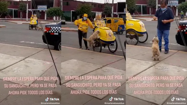 El hombre consintió a su mascota. Foto: captura de TikTok