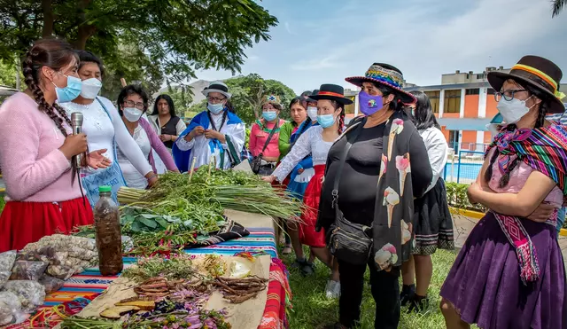 Mujeres fueron  sobre acceso a los recursos genéticos y participación justa y equitativa en los beneficios. Foto: Minam