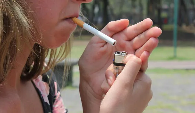 En la actualidad, los daneses menores de 18 años no tienen permitido comprar tabaco. Foto: Gabovideo/Pixabay