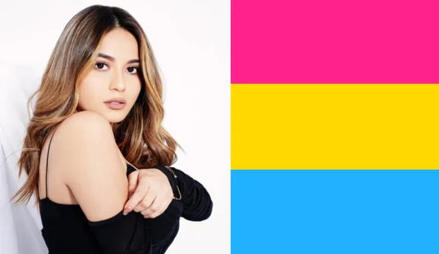 La bandera que representa a la comunidad pansexual es de color amarillo, celeste y rosado. Foto: composición/La República