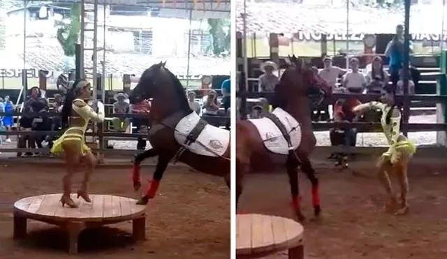 Un caballo se convirtió en la pareja de baile de una joven en pleno evento, luego que se movieron con la canción ‘Cali Ají’. Foto: captura de Facebook