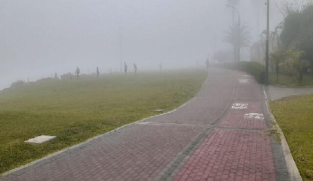 Se espera el descenso de la temperatura, cobertura nubosa y niebla. Foto: Andina
