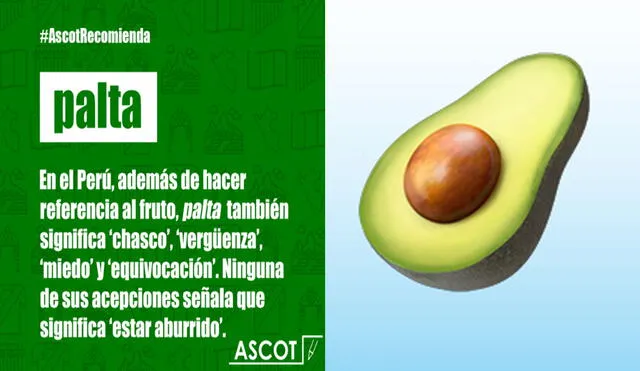 Las reacciones de los usuarios no tardaron en aparecer respecto al significado de 'palta'. Foto: captura de Facebook