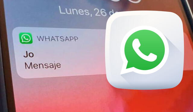 Notificaciones de WhatsApp. Foto: composición portal Cinco días