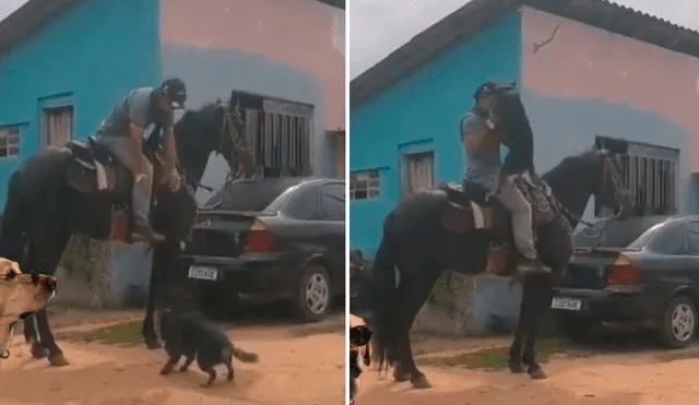 El joven montó el caballo y luego, el perrito se paró en dos patitas a la espera de que también lo lleven al paseo. Foto: captura de TikTok