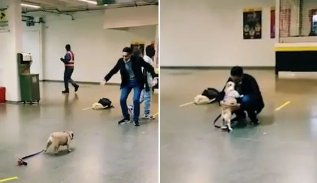 La viral escena, protagonizada por un perrito y su dueño, fue compartida en diferentes redes sociales y tuvo miles de reacciones. Foto: captura de TikTok