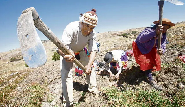 Agro. Se busca mitigar el alza de los fertilizantes subvencionando los costos del transporte. Foto: Andina