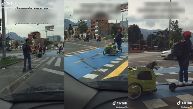 La mujer llevaba al perrito en una minimototaxi. Foto: captura de TikTok