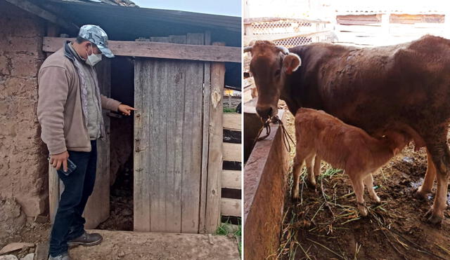 Familia afectada ha iniciado una intensa búsqueda. Foto: La República