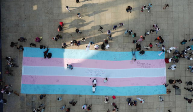 El color celeste, blanco y rosado son utilizados por la comunidad trans en su bandera representativa. Foto: EFE