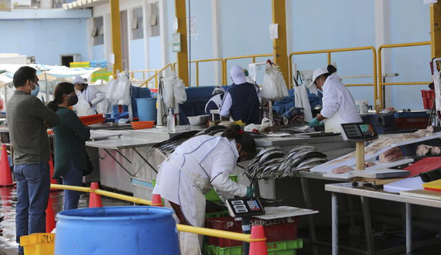 La última mercadería que descargaron fue hasta el lunes pasado. Llegaron alrededor de 70 toneladas. Foto: Cortesíaas de productos hidrobiológicos